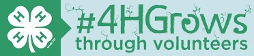 White 4-H Logo on green background on the left, on the right "#4HGrows through volunteers" text on blue background.