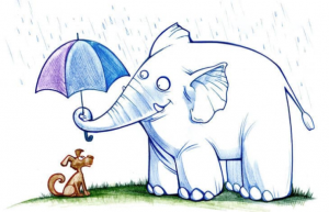 Random Acts of Kindness