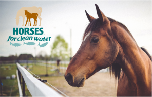Rescheduled – Horses For Clean Water Presentation by Alayne Blickle