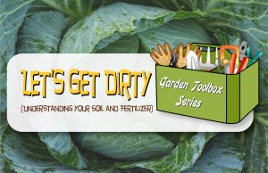 Garden Toolbox Series – Let’s Get Dirty