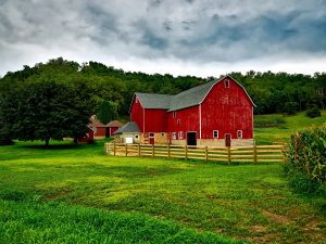 Six Possible Impacts of COVID-19 on Farming
