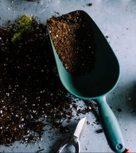 Lawn and Garden Soil Sampling