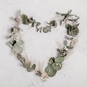 Heart Of the Farm Fall/Winter Coffee Chats