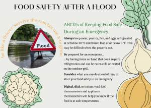 Food Safety after a Flood