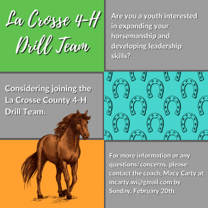 La Crosse 4-H Drill Team