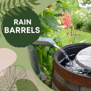 Rain Barrels