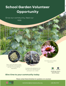 Volunteer Opportunity