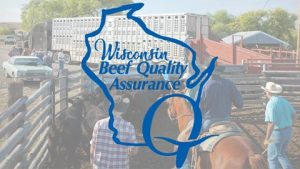 Beef Quality Assurance Training & Certification